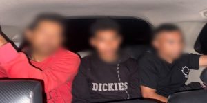 Viral! Dipicu Kepercayaan Sihir, Tiga Pria di NTT Nekat Bakar Burung Hantu Hidup-Hidup